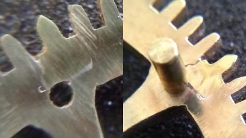fixed  tooth